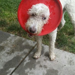 Meet your Posher, Beth